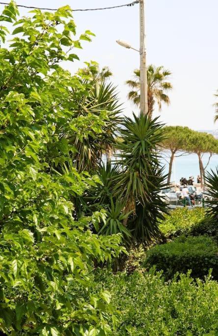 Blue Summer Vibes Duplex Studio For 4P, Ac, Sea View, Parking, Beach At 50M, Spa Access -3 La Ciotat Zewnętrze zdjęcie